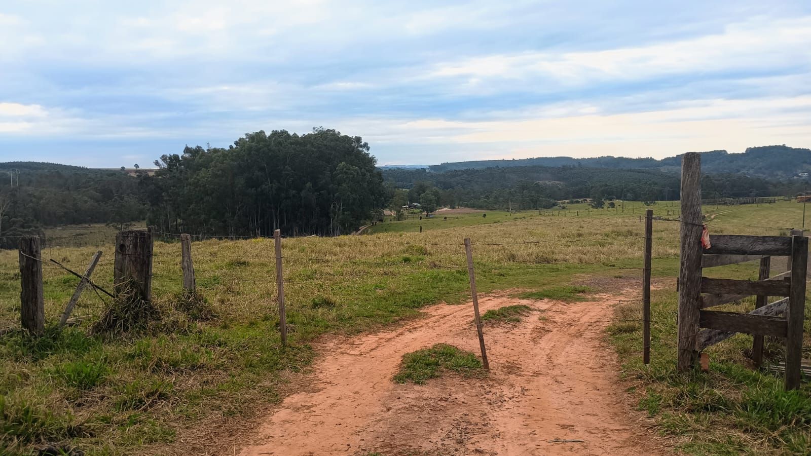 Terreno em Portão