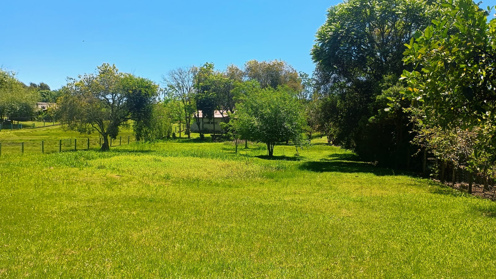 Chácara com duas casas em Capela de Santana