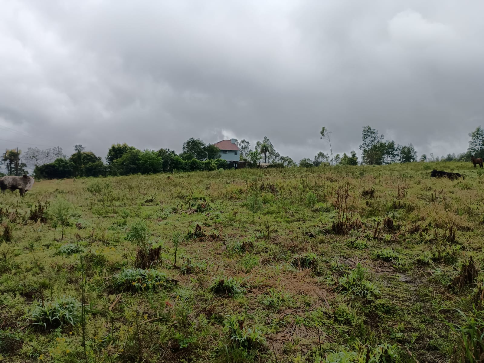 Terreno em Portão