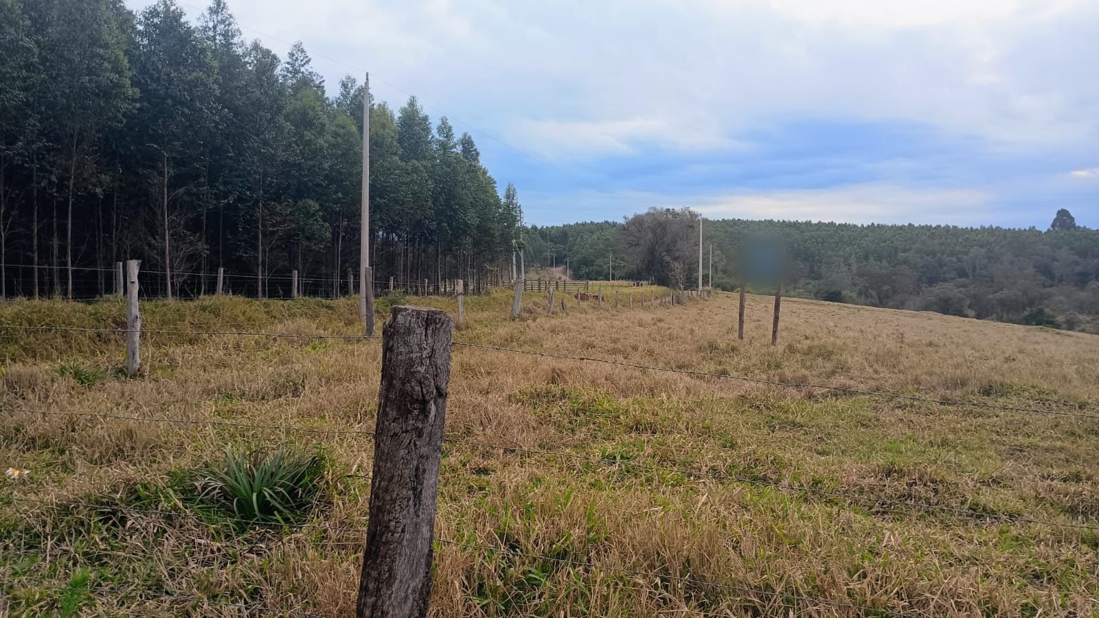 Terreno em Portão