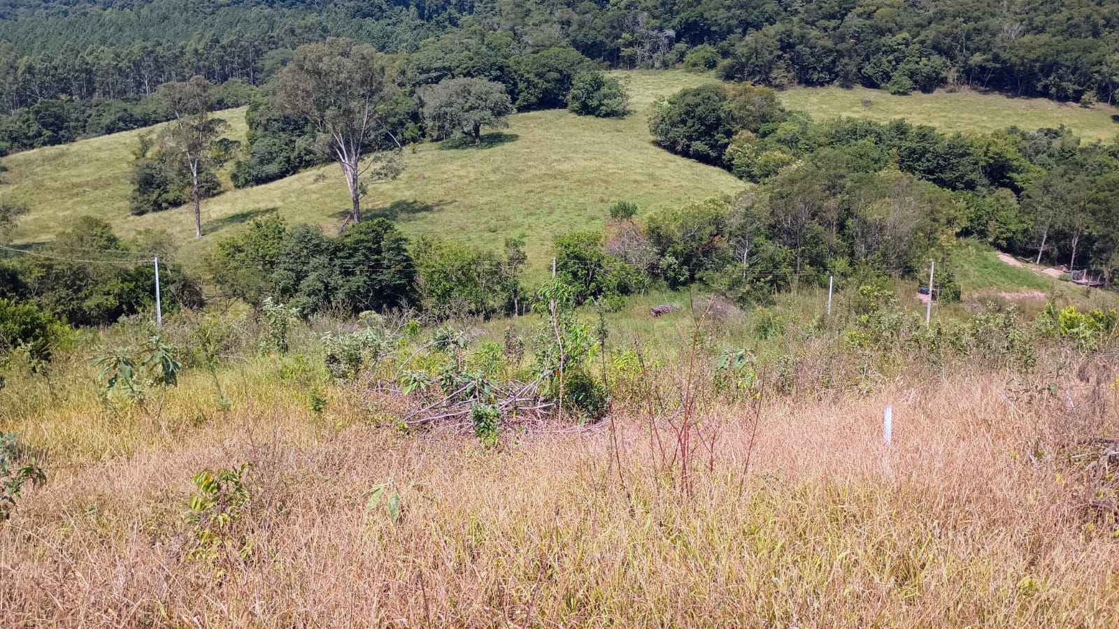Área de terra em Capela de Santana
